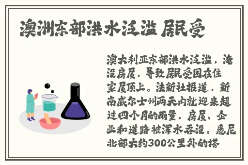 车里子p